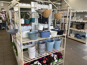 鉢植え容器各種